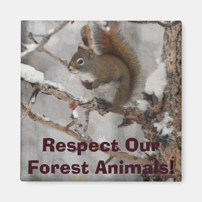 Winter Squirrel, Snow & Red Berries Xmas Design Magnet (Front)