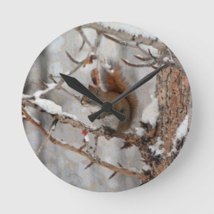 Winter Squirrel, Snow & Red Berries Xmas Design Round Clock