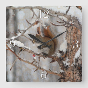 Winter Squirrel, Snow & Red Berries Xmas Design Square Wall Clock