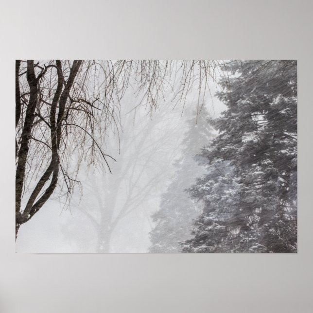 Winter storm, Ohio. Poster (Front)