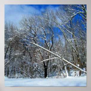 Winter Storm Oil Poster