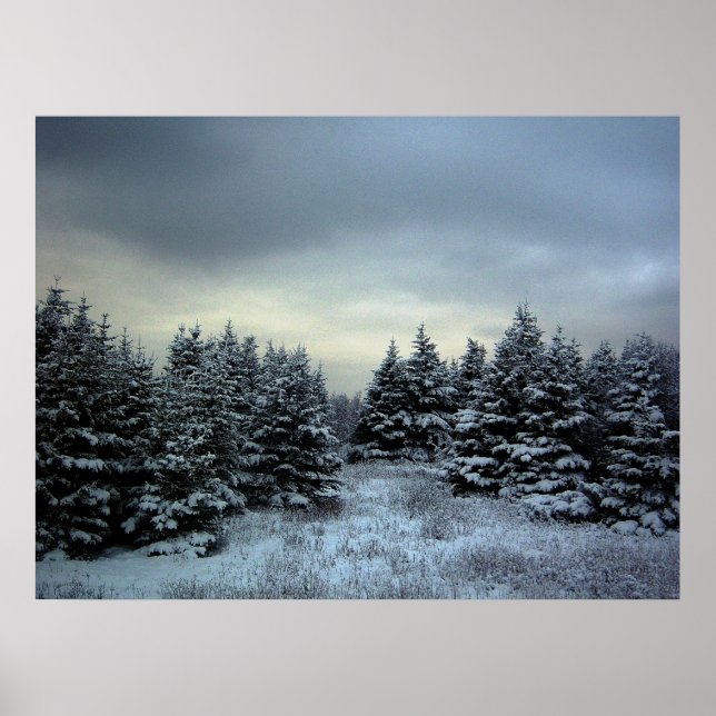 Winter Storm Poster (Front)