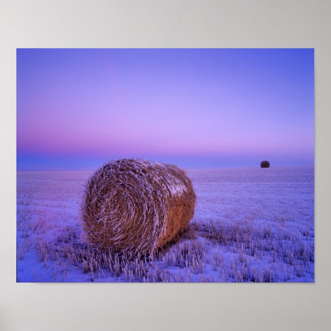 Winter Straw Bales near Cartwright North Poster (Front)