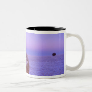 Winter Straw Bales near Cartwright North Two-Tone Coffee Mug