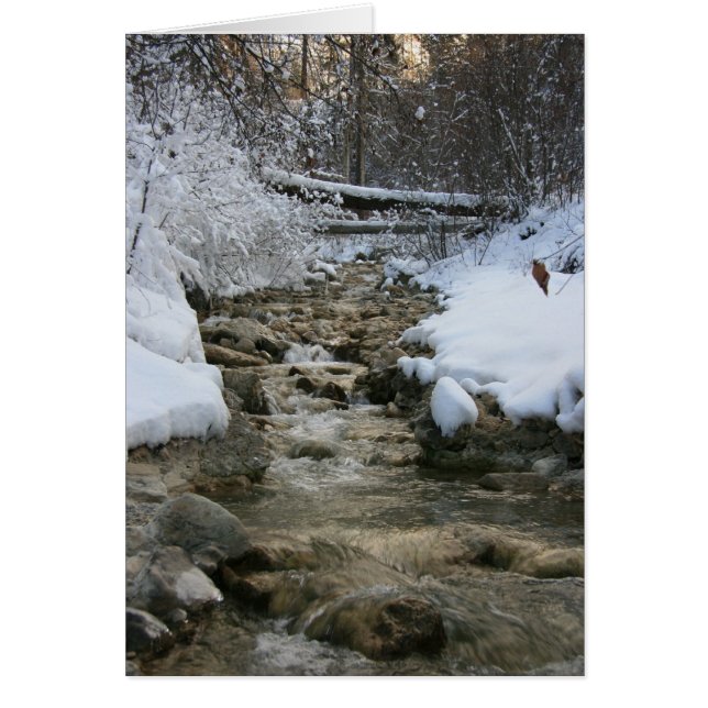Winter Stream (Front)