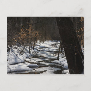 Winter Stream Postcard