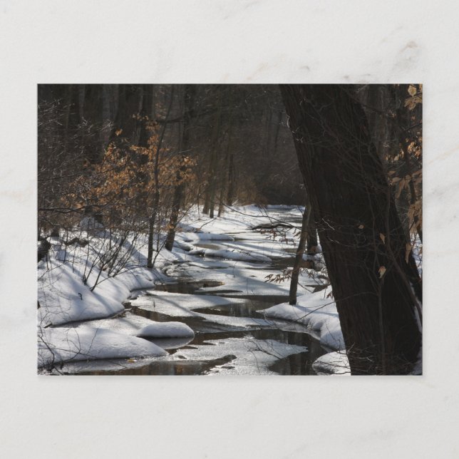 Winter Stream Postcard (Front)
