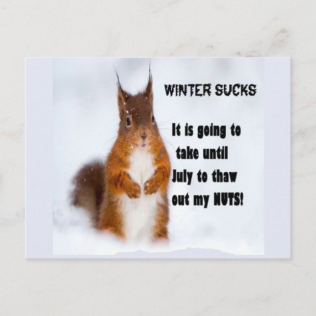 Winter Sucks Postcard (Front)