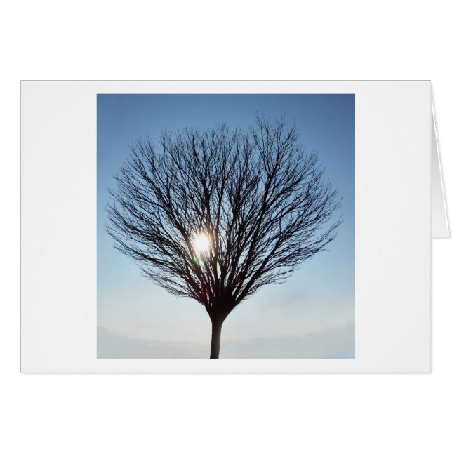 winter sun (Front Horizontal)