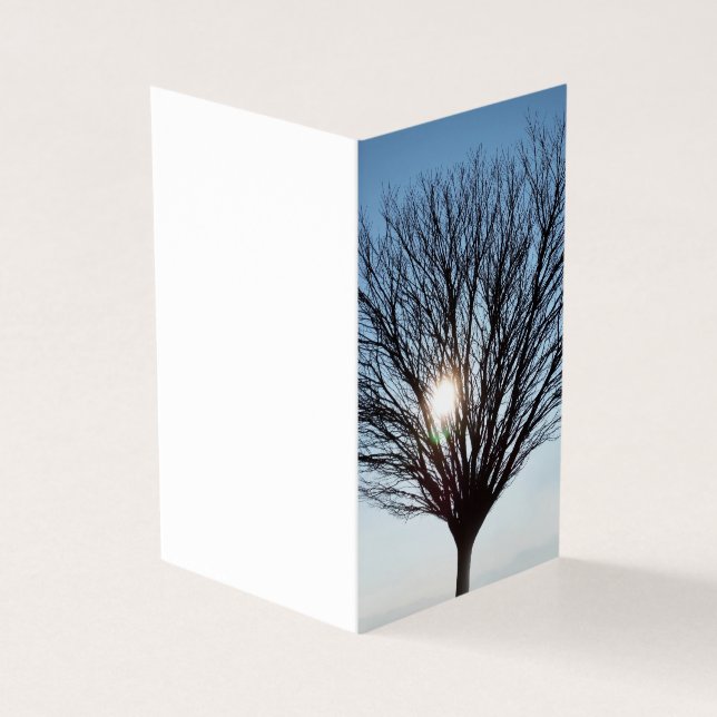 winter sun (Outside)