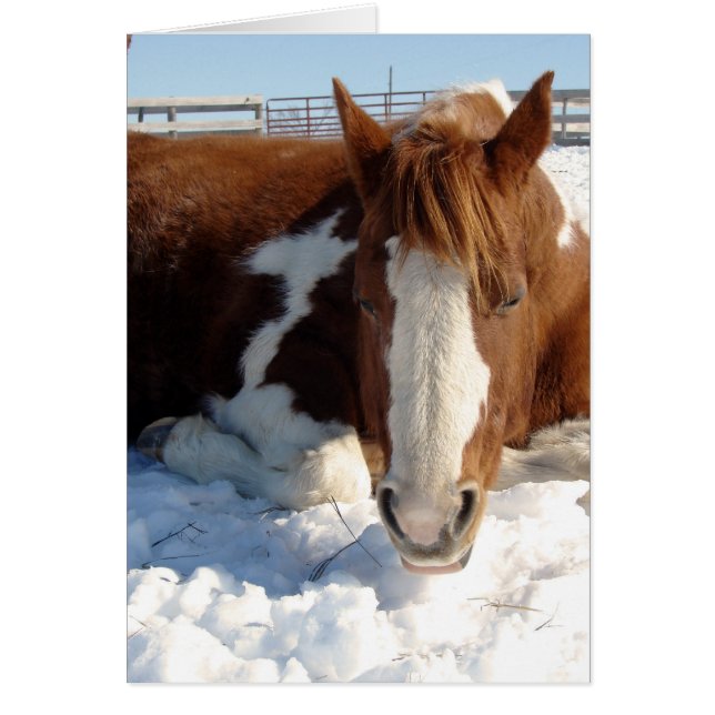 Winter Sun Bathing (Front)
