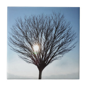 winter sun ceramic tile