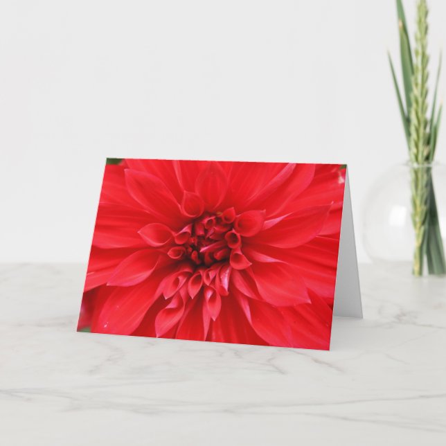 Winter Sun Greeting Card (Front)