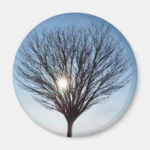 winter sun magnet