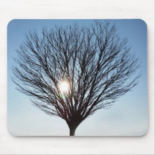 winter sun mouse pad