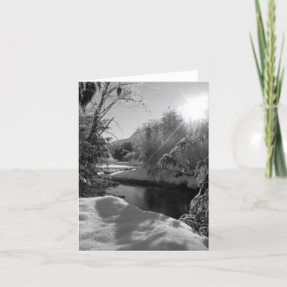 Winter Sun Note Card, Blank Inside Card