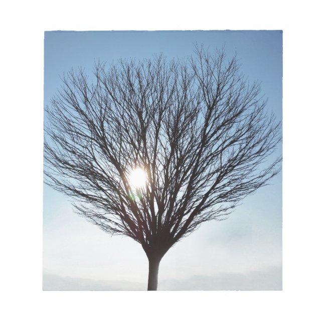 winter sun notepad (Front)