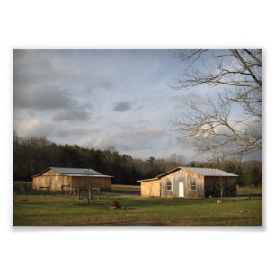 winter sun photo print