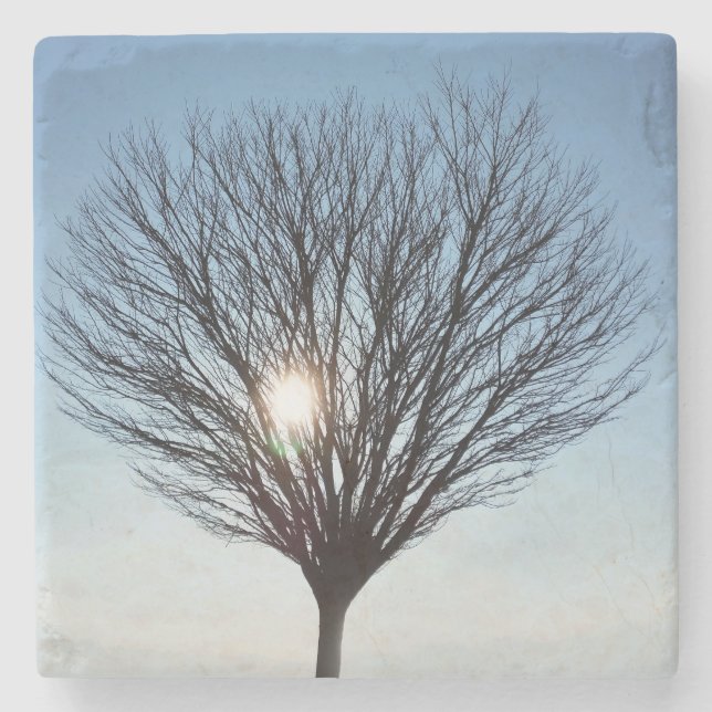 winter sun stone coaster (Front)