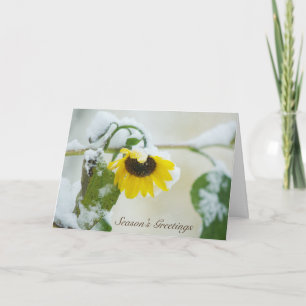Winter Sunflower Holiday Card