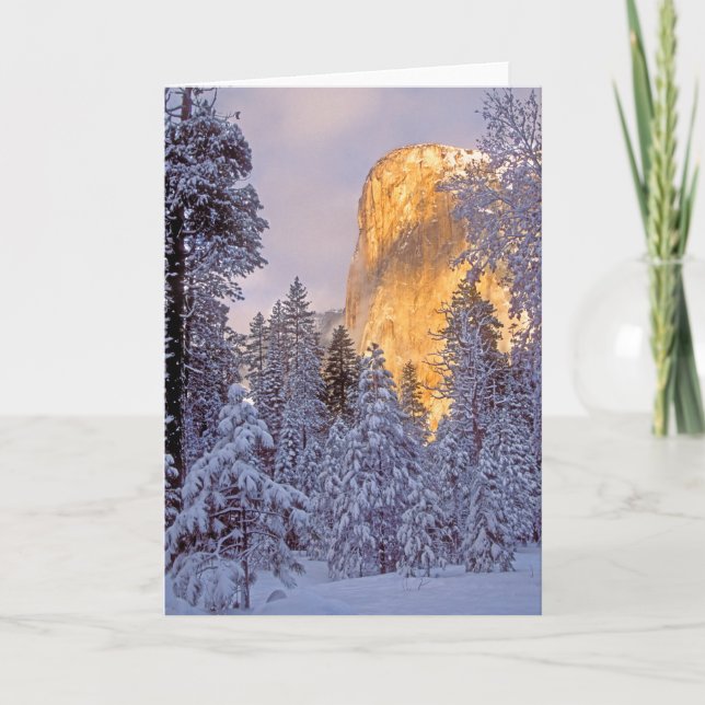 Winter Sunlight on El Capitan at Yosemite Holiday Card (Front)