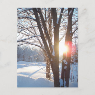 WINTER SUNRISE Customisable Design Postcard