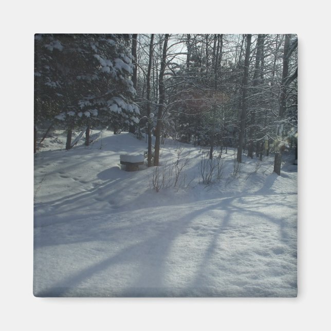 Winter Sunrise Magnet (Front)