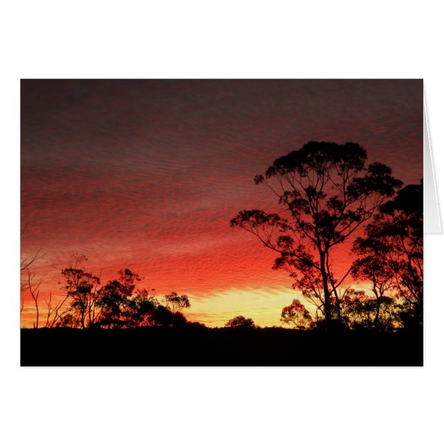 Winter Sunset (Front Horizontal)