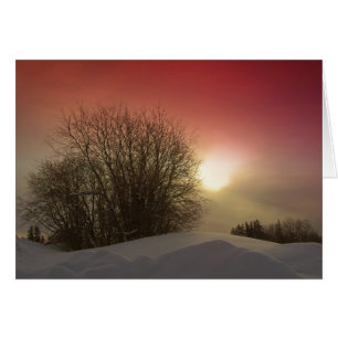 Winter Sunset