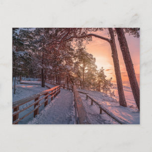 Winter sunset in pine forest near sea holiday postcard