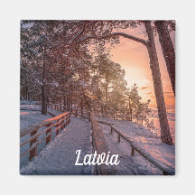 Winter sunset in pine forest near sea magnet