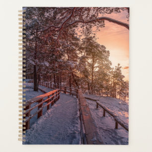 Winter sunset in pine forest near sea planner