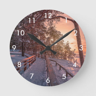 Winter sunset in pine forest near sea round clock