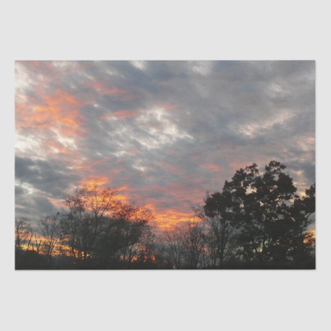 Winter Sunset Nature Landscape Photography Tissue Paper (Front)