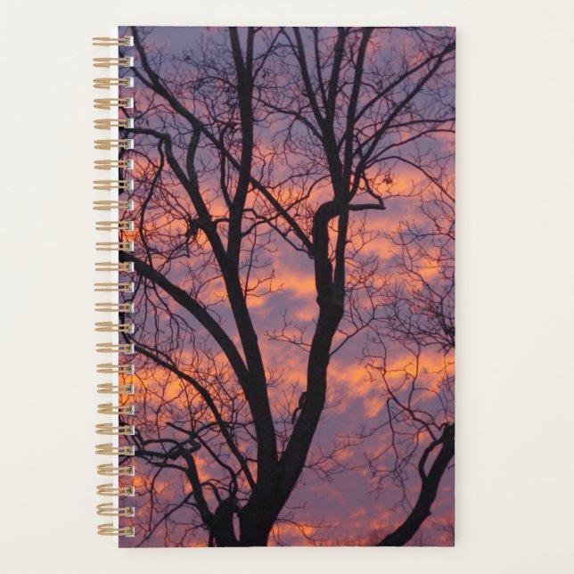 Winter Sunset Planner (Front)
