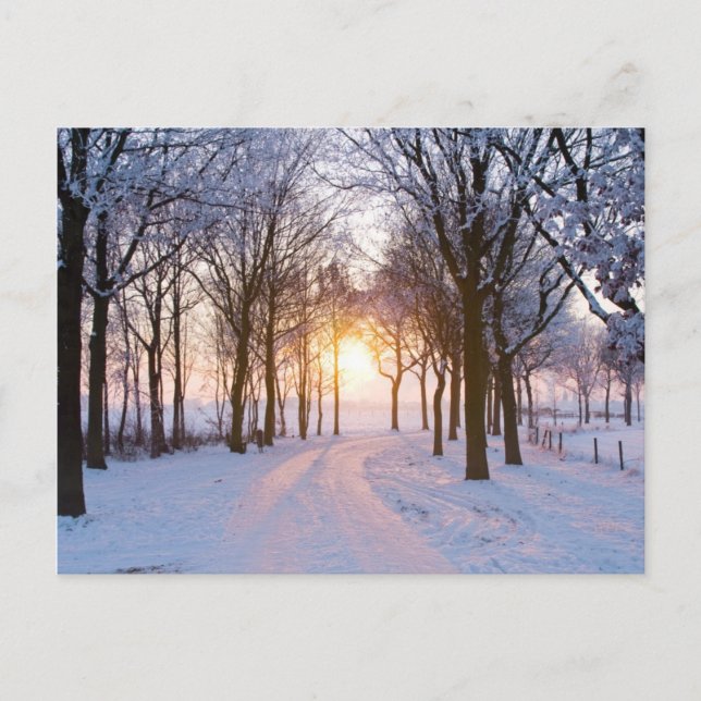 Winter Sunset Postcard (Front)