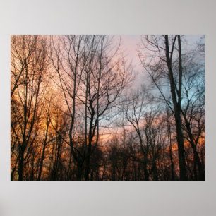 Winter Sunset Poster