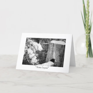 "Winter Surprise" Holiday Card