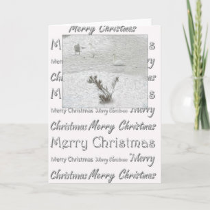 Winter Swans Holiday Card