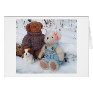Winter Teddy Couple with puppy