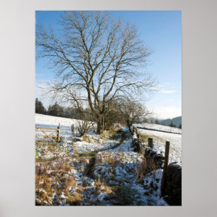 Winter The Macclesfield Forest Card Poster