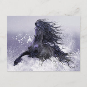Winter Thunder Postcard
