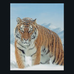 Winter Tiger Snow Nature Photo Mountains Canvas<br><div class="desc">Winter Tiger Snow Nature Photo Mountains Faux Wrapped Canvas Print.</div>