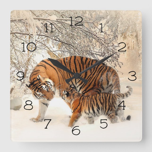 Winter Tigers Square Wall Clock (Front)