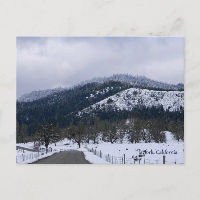 Winter time in Hayfork, California... Postcard (Front)