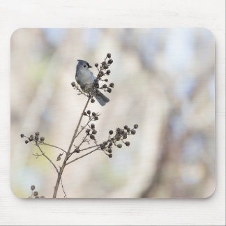 Winter Titmouse Mouse Pad