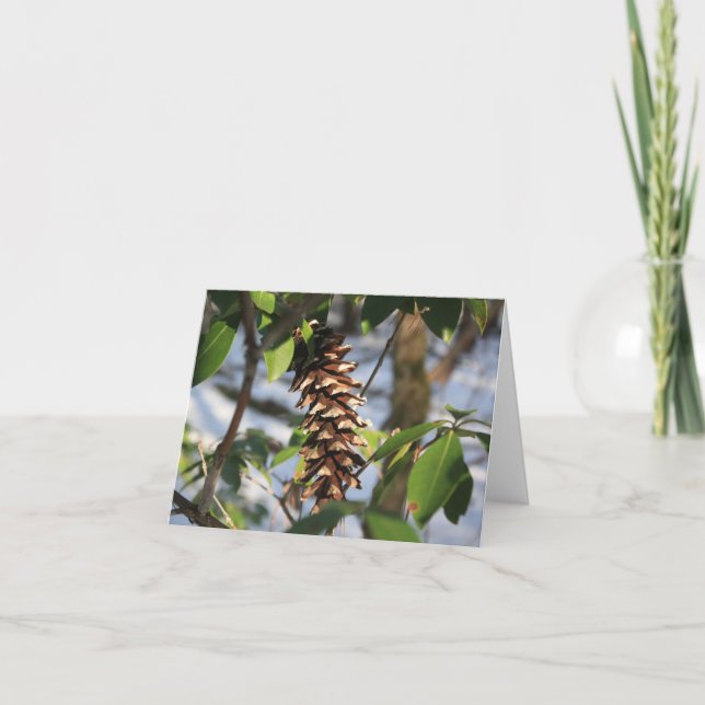 Winter Trail Pine Cone Note Card (Front)