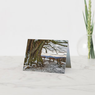Winter Tree and Benches Card