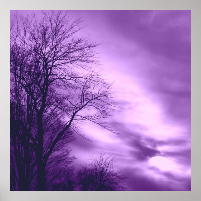 Winter Tree and Sky in Purple  Poster (Front)