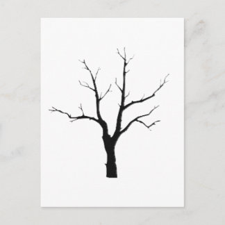 Winter Tree Black and White Set Postcard